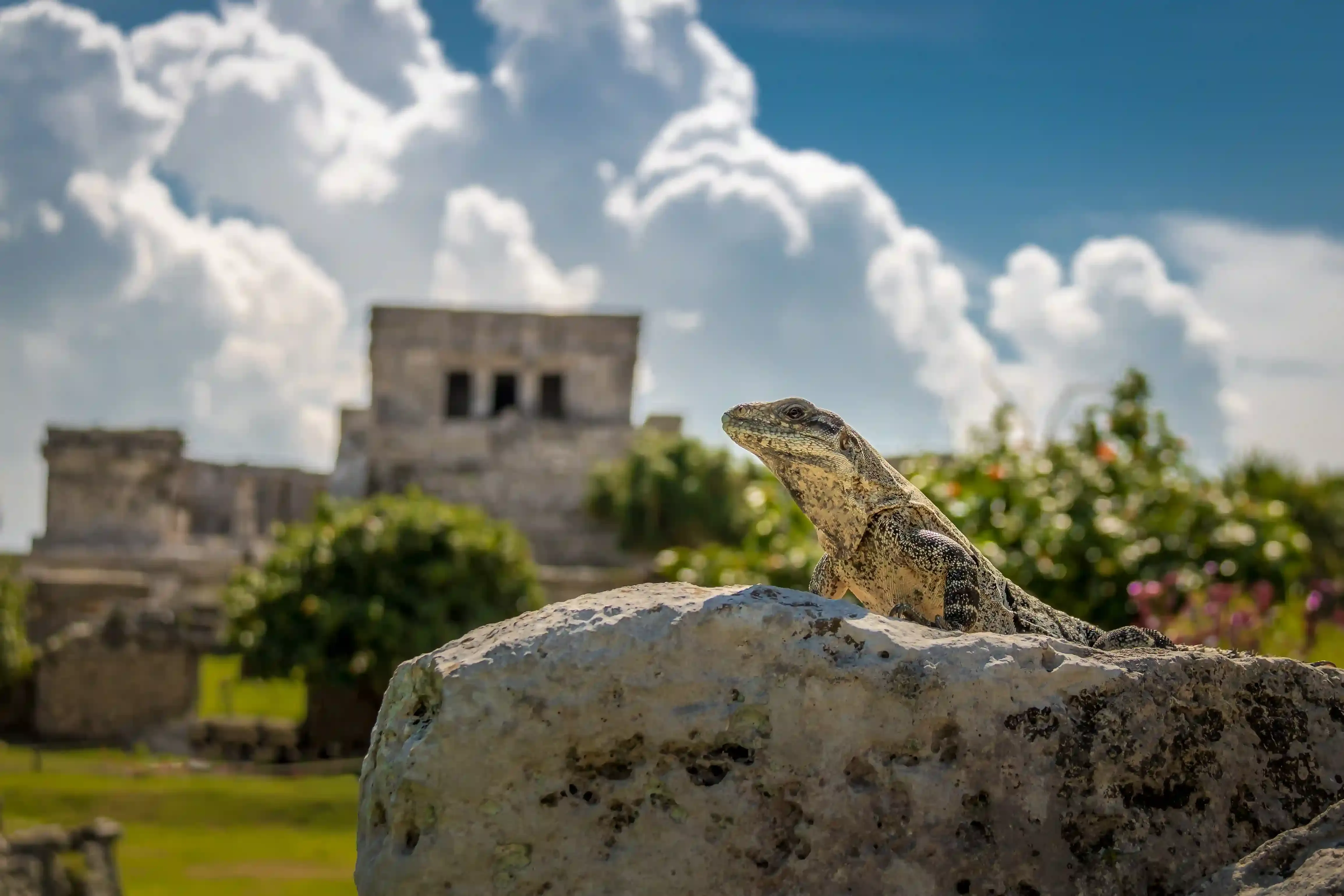 Zona arquelógica de Uxmal