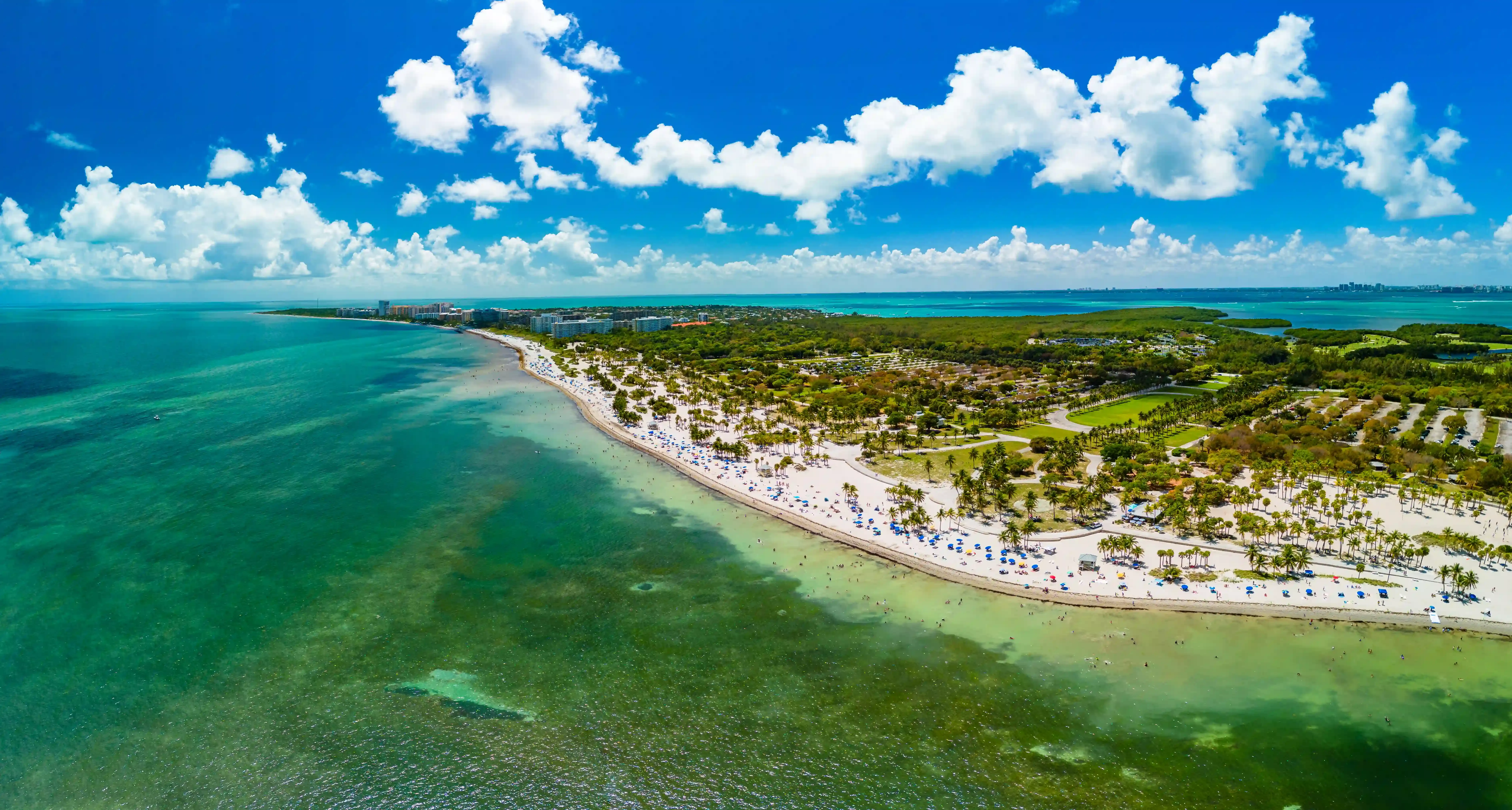 Descripción de la imagen