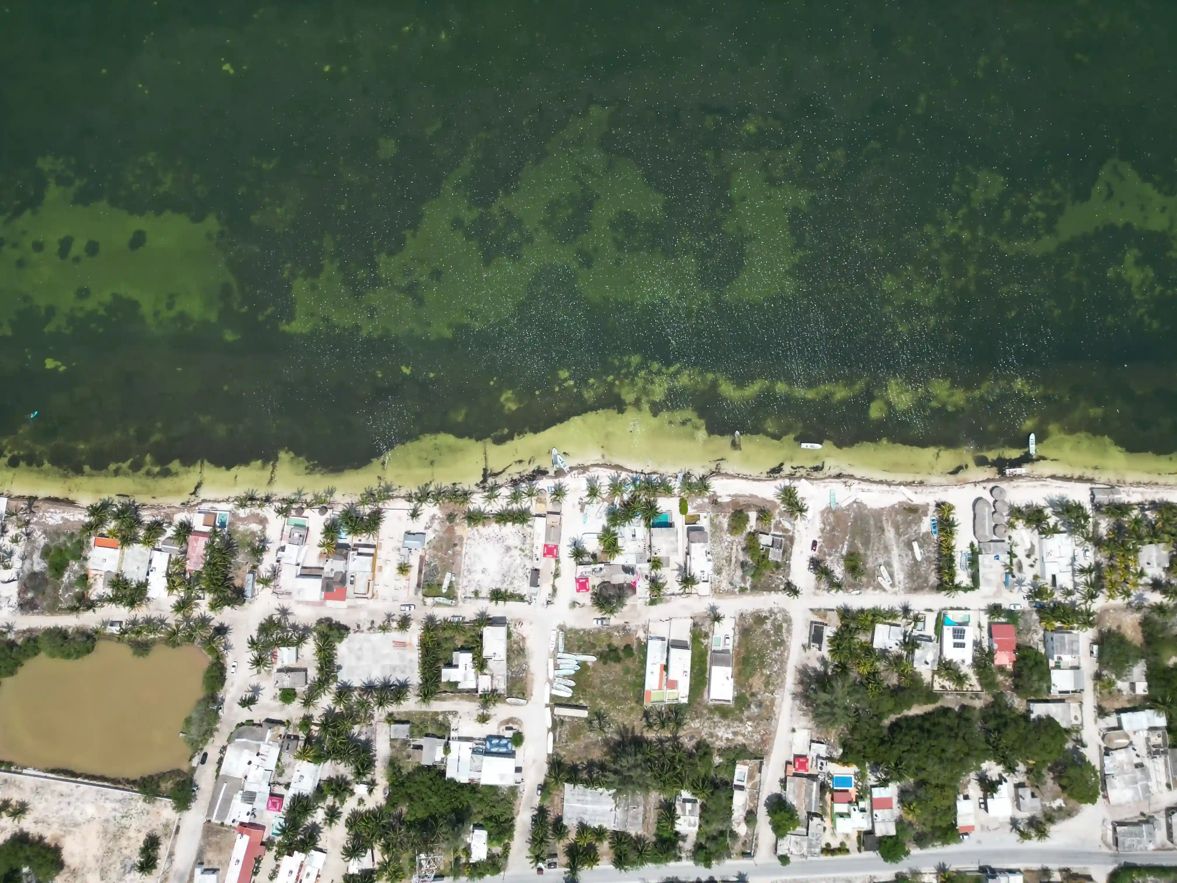 Costa de Santa Clara, Yucatan.