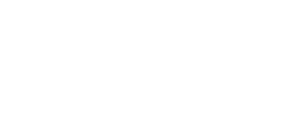 Imagen de unas gaviotas